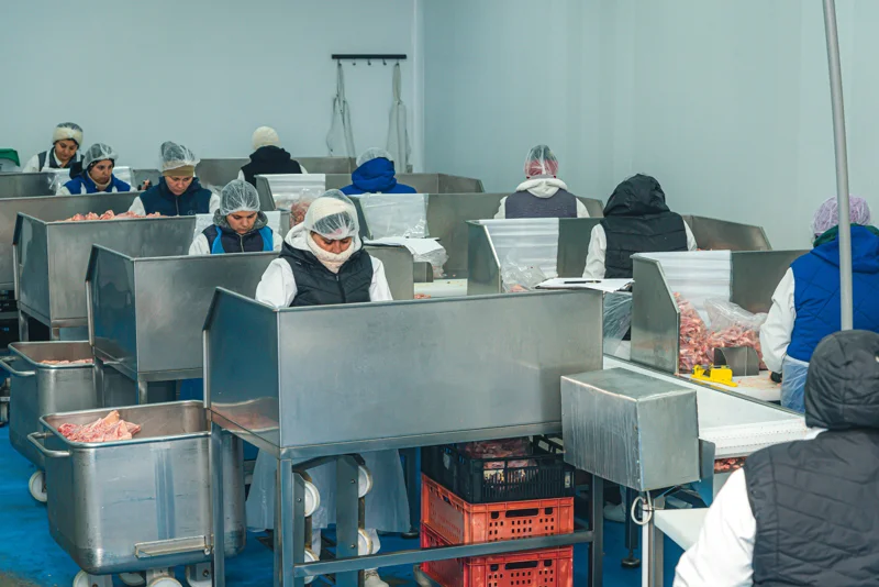 Echipa de producție la stațiile de pregătire